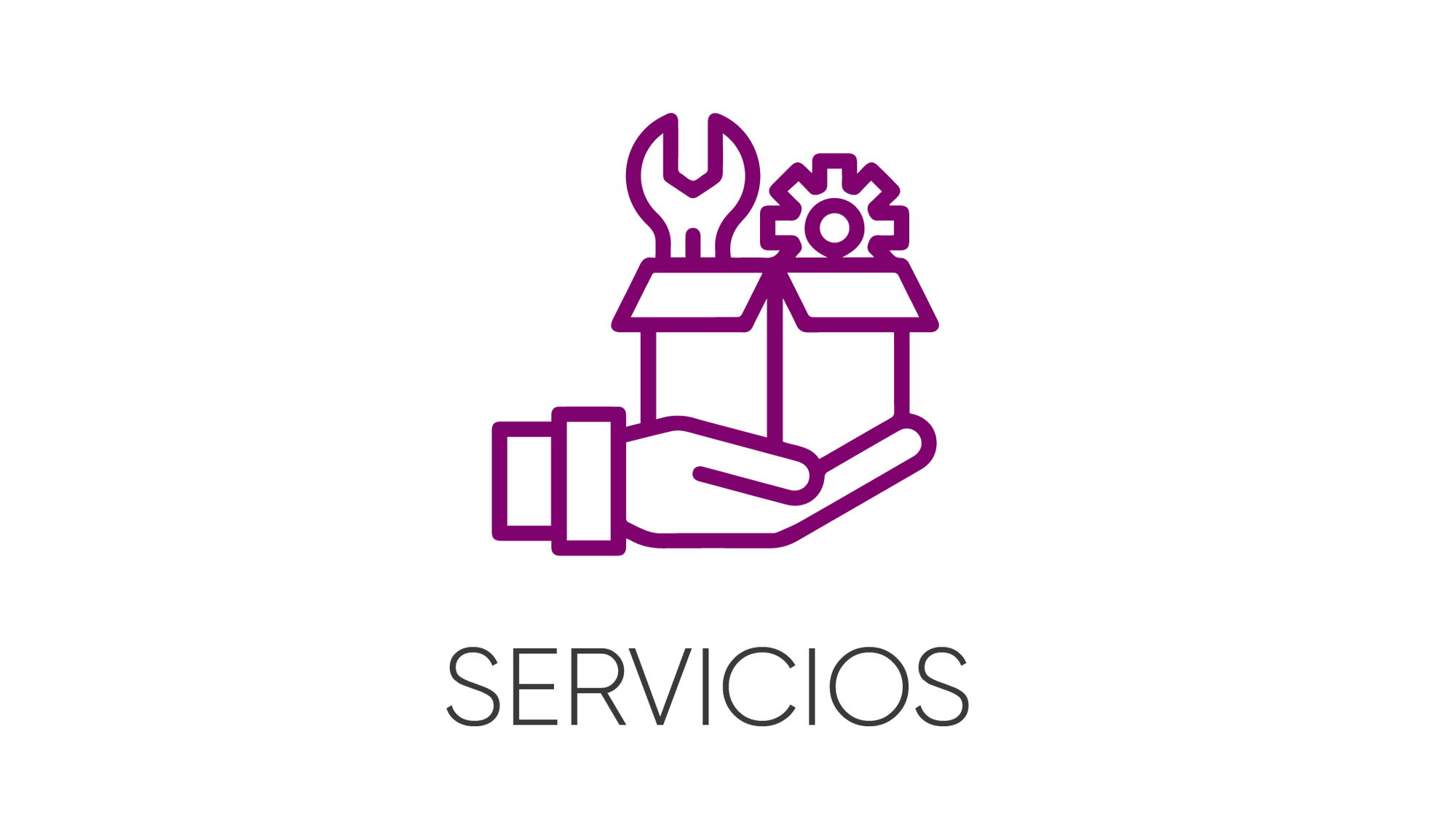 MINISITE PUNTOS DE SERVICIOS TECNICOS ESPECIALIZADOS_HOME 2